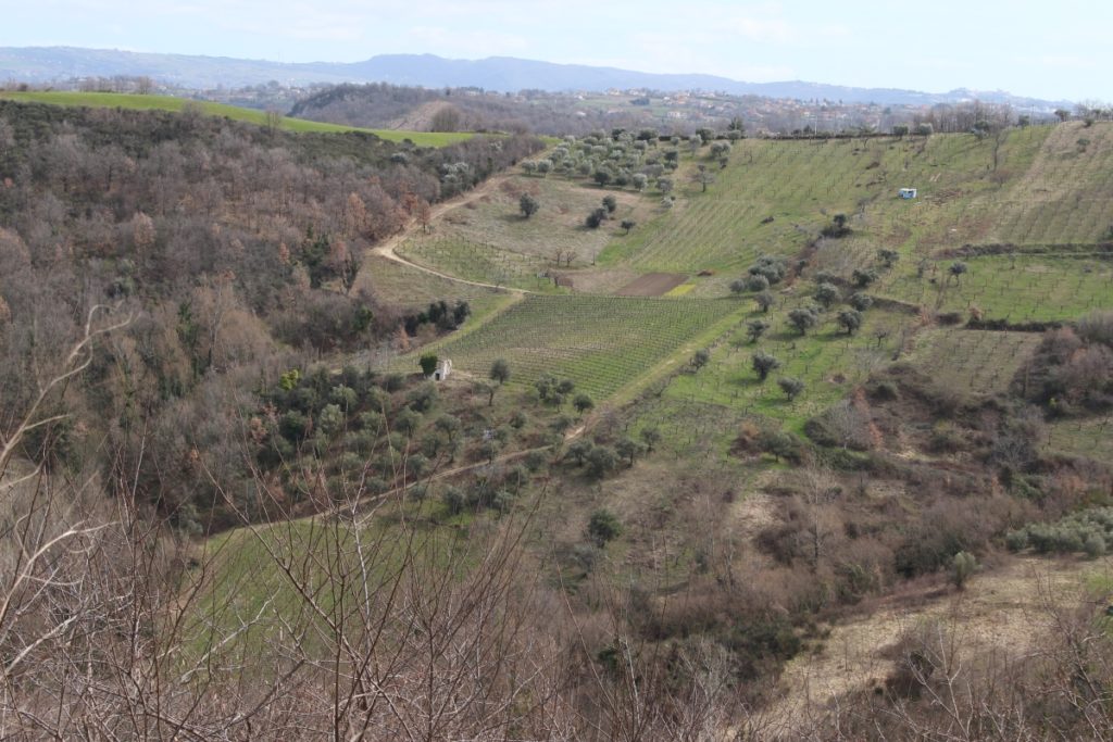 Regina Collis, veduta dal Toppolo del Santissimo